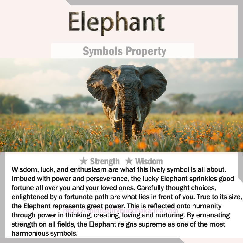 Spirituality Buddha Karma Natural Agate Elephant Buddha Hope Bracelet Bracelet buddhastoneshop 4