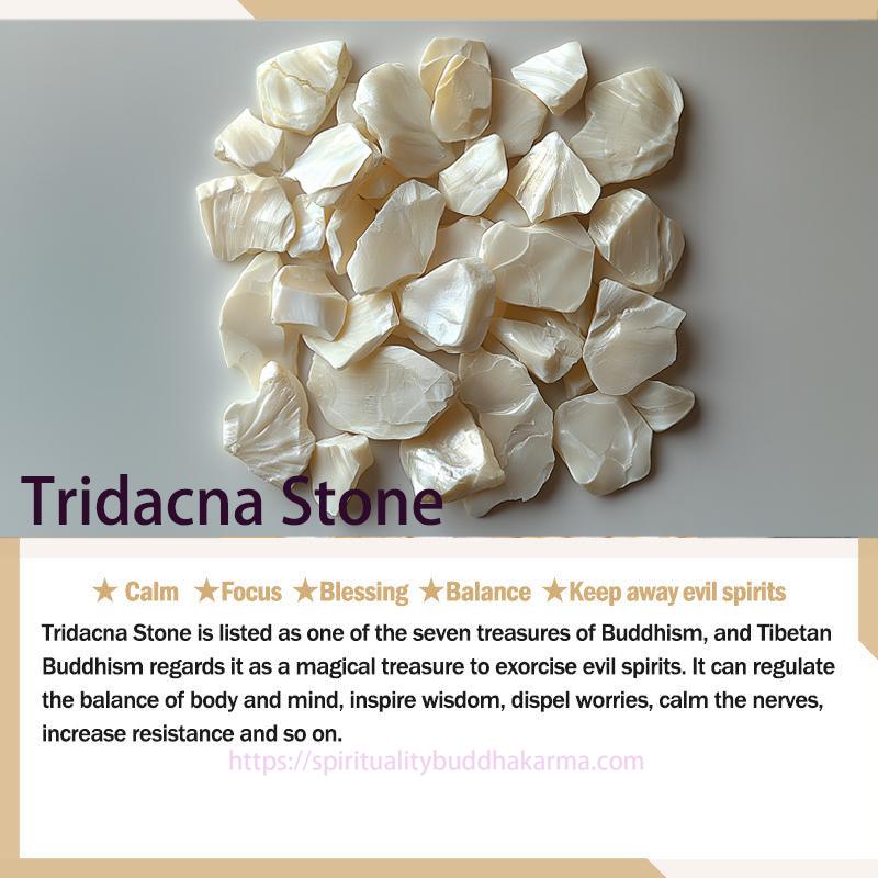 Spirituality Buddha Karma Tridacna Stone Flower Jade Bead Blessing Drop Earrings Earrings  