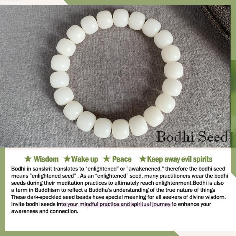 Cyan Bodhi Seed Mala 108 Beads Success Bracelet Necklace (Extra 30% Off | USE CODE: FS30) Bracelet BS 1