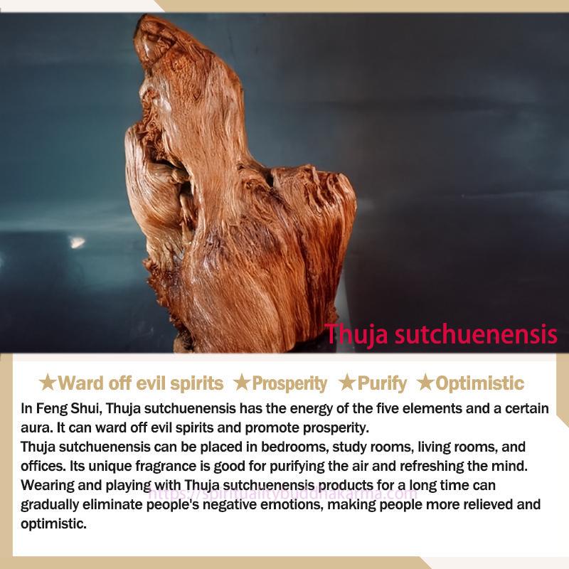 Spirituality Buddha Karma Handmade Thuja Sutchuenensis Wood Eighteen Arhats Statue Purify Decoration Decorations BS 1