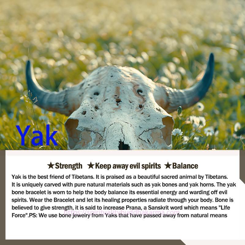 Spirituality Buddha Karma Tibet 108 Mala Beads Nine Palaces Bagua Bodhi Seed Yak Bone Vajra Harmony Bracelet Mala Bracelet BS 3