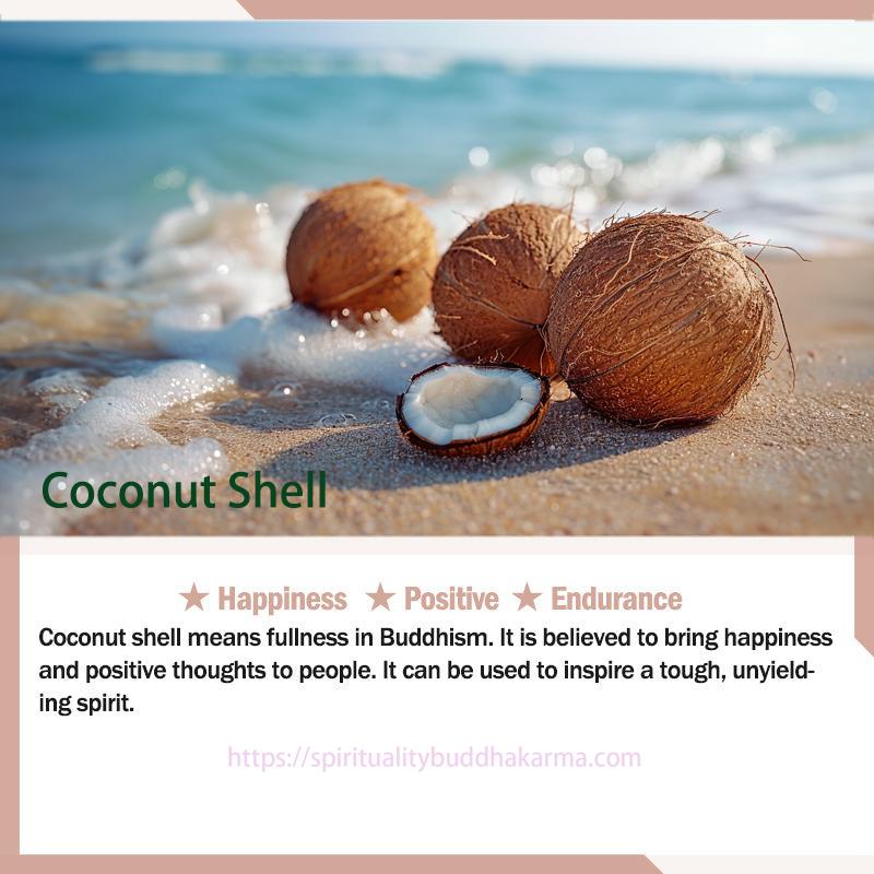 Spirituality Buddha Karma Jade Coconut Shell Bamboo Pattern Abundance Luck Bracelet Bracelet BS 2